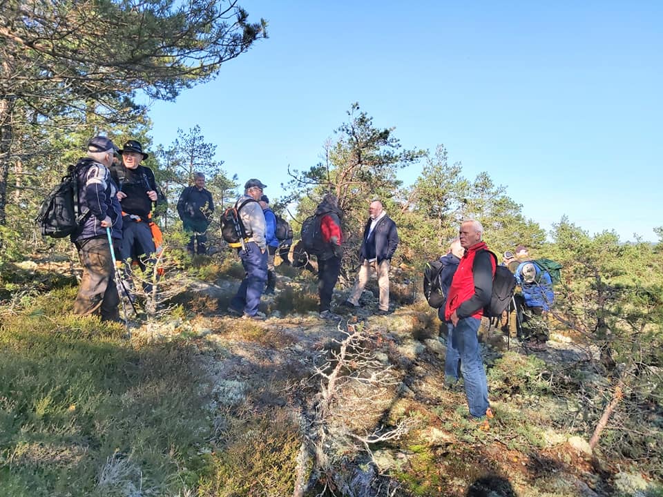 SEIGKÆLLER VANDRER 